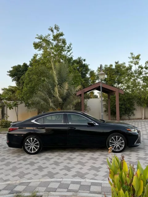 صورة 8