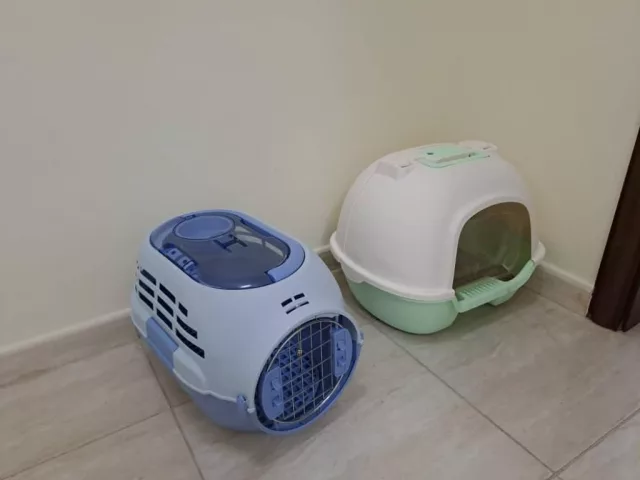 صورة 5