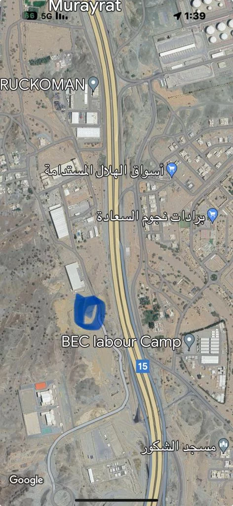 السيب