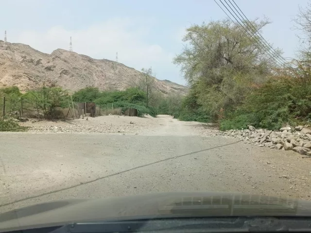 صورة 5