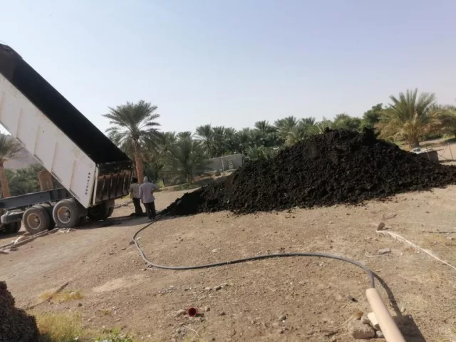 صورة 3