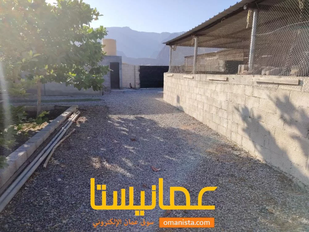 مزرعه فقاروت الشماليه للبيع