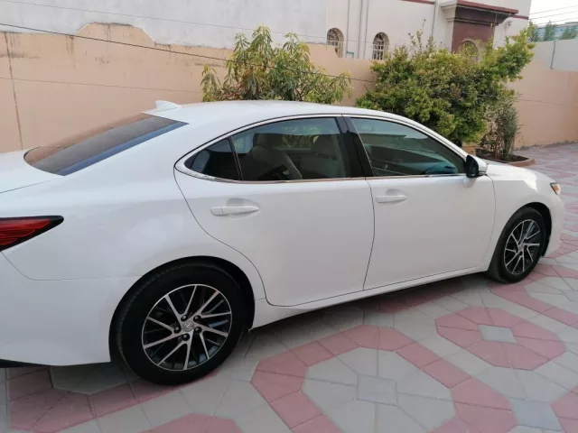 صورة 2