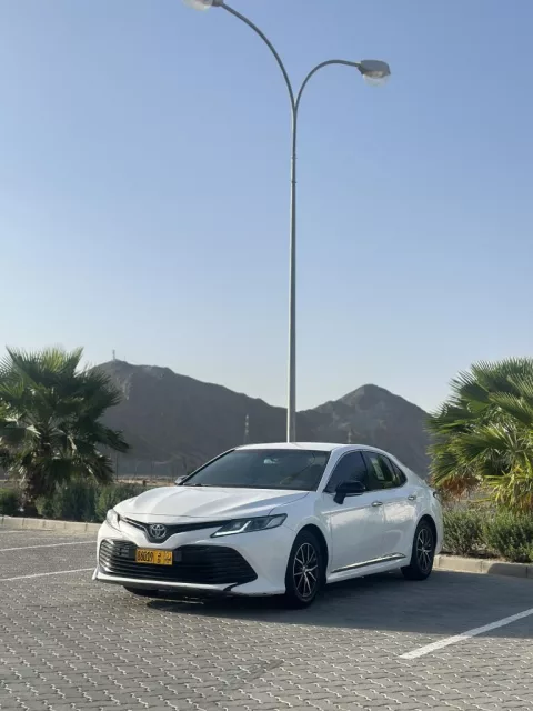 صورة 2