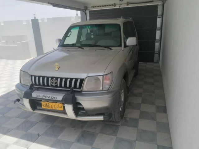 صورة 3