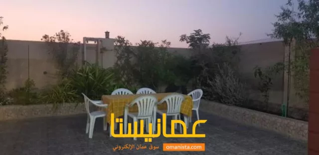 صورة 7