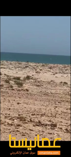 صورة 3