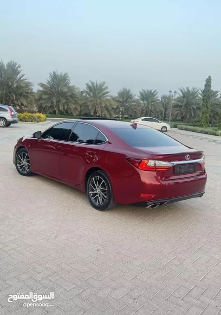 صورة 3