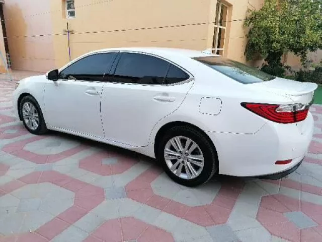 صورة 3