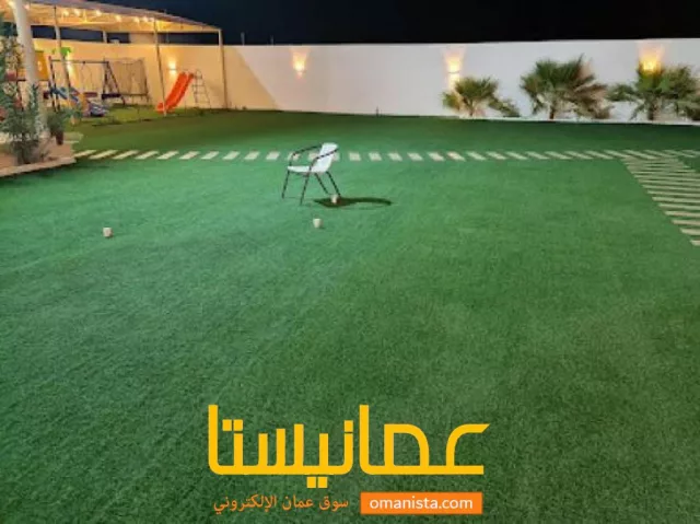 صورة 3