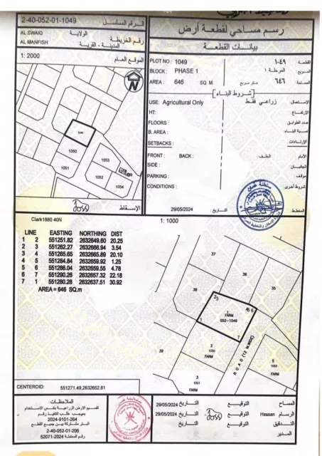 صورة 3