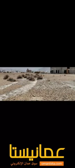 صورة 5