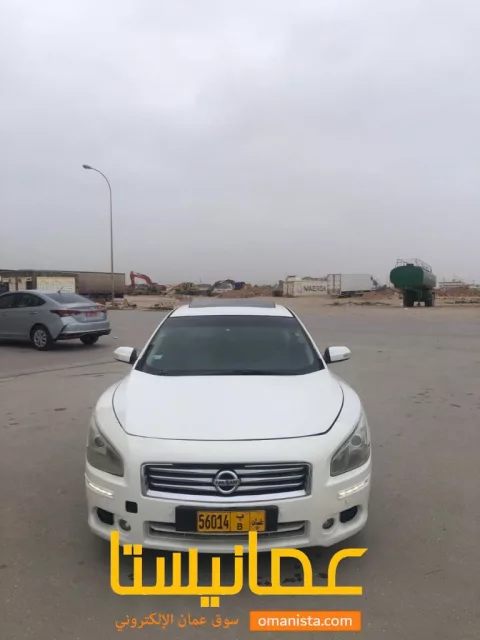 صورة 4