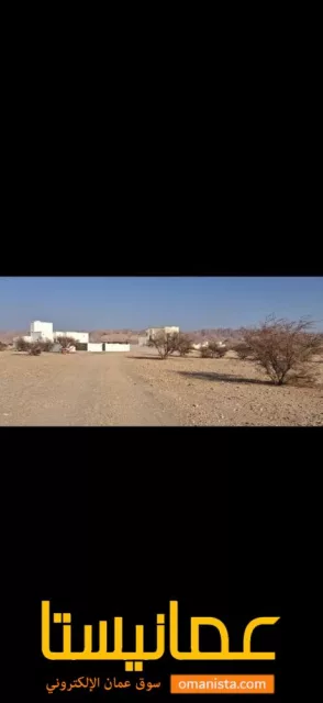 صورة 3