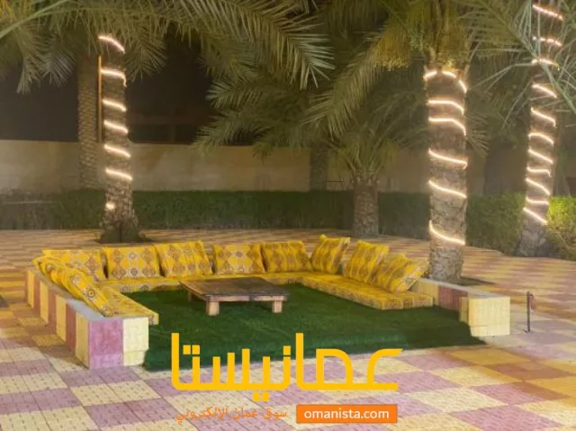 صورة 7