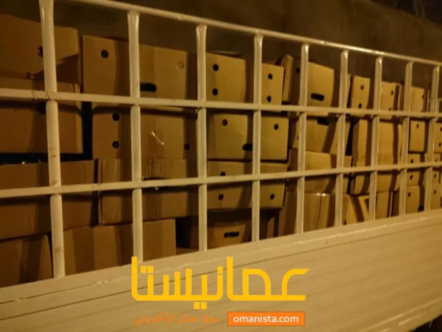 صورة 4