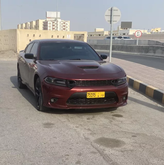 صورة 2