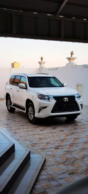 صورة 7