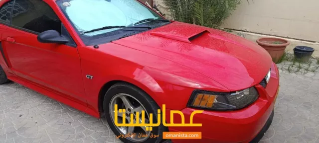 صورة 3