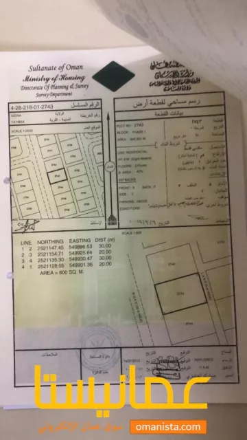 صورة 3