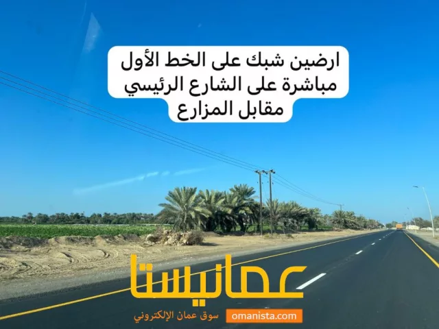 صورة 3