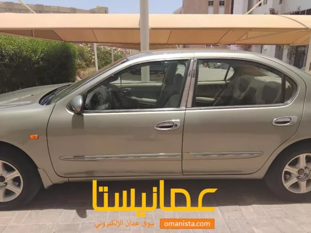 صورة 6