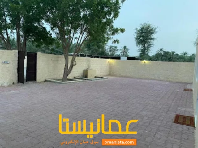 صورة 10