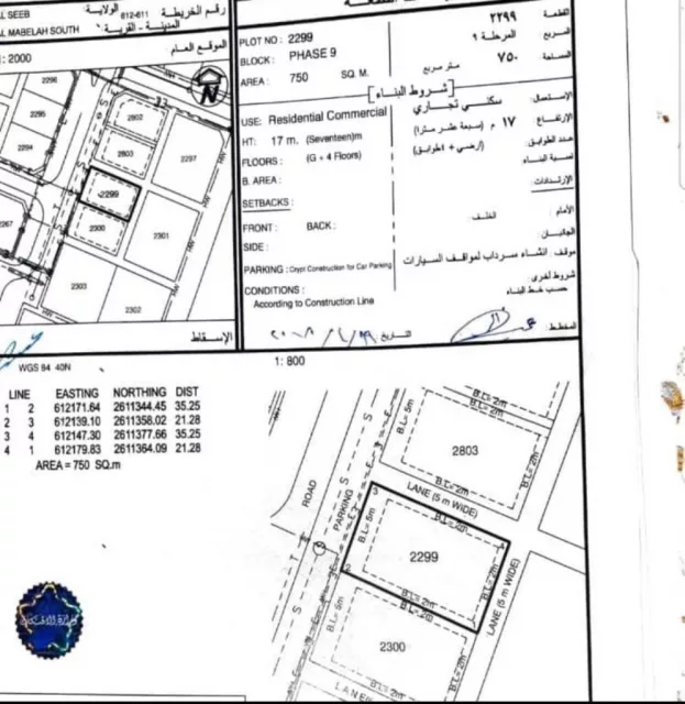صورة 2