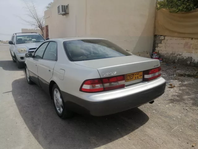 صورة 5