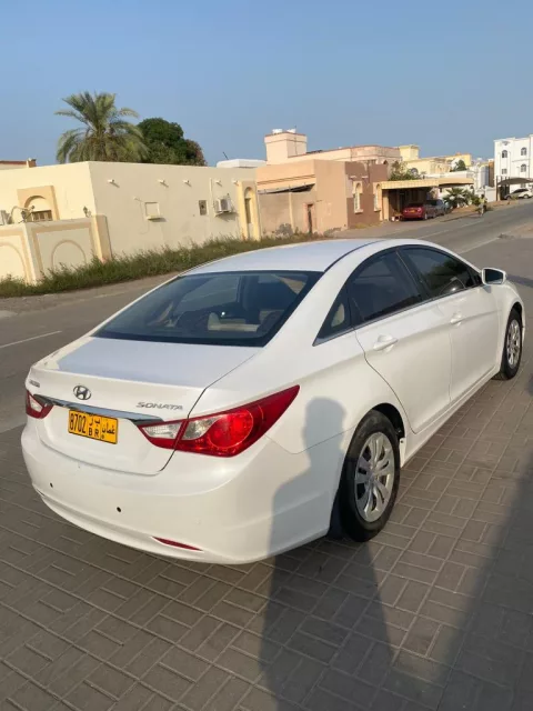صورة 2