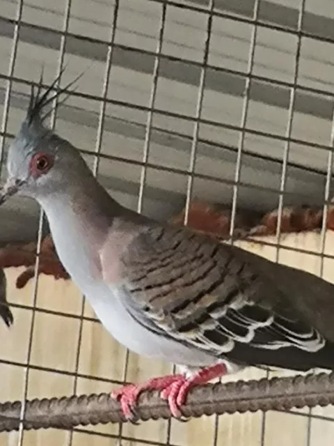 صورة 4