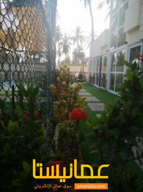 صورة 5