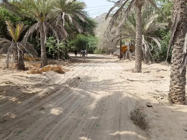 صورة 2