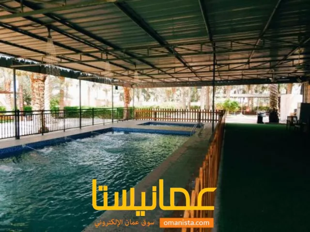 صورة 3