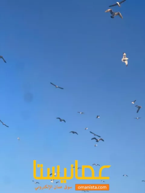 صورة 1