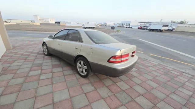 صورة 5