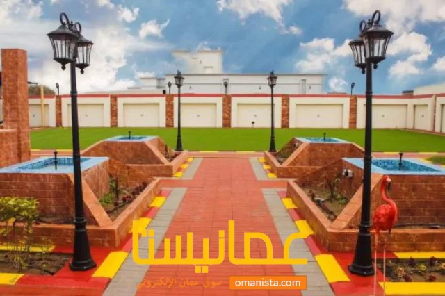 صورة 8