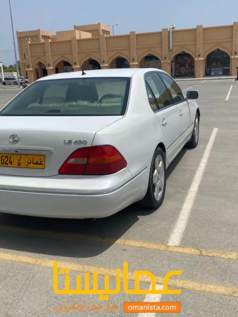 صورة 6