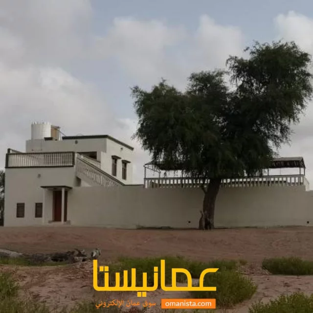 صورة 8