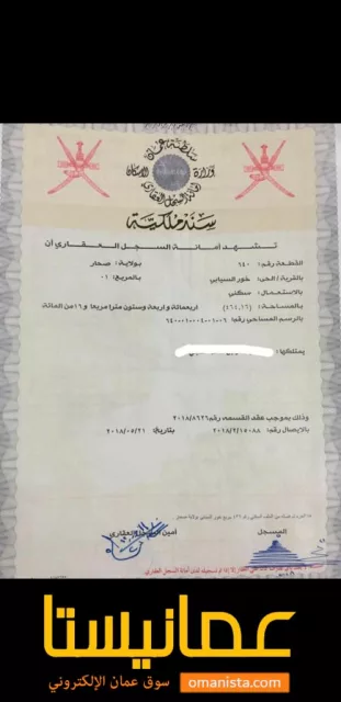 صورة 2