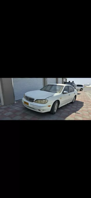 صورة 3