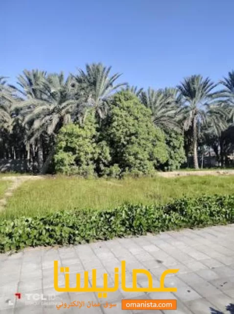 صورة 9