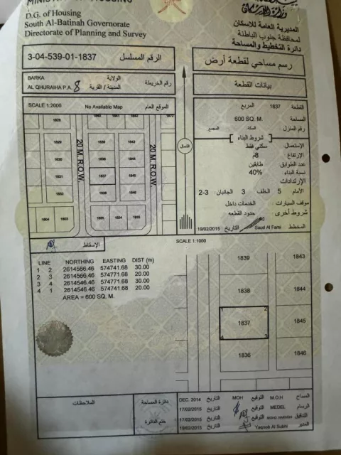 صورة 3