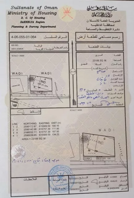 صورة 3