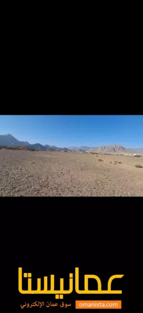 صورة 3