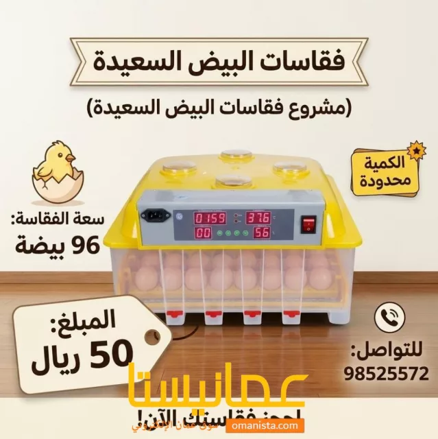 صورة 6