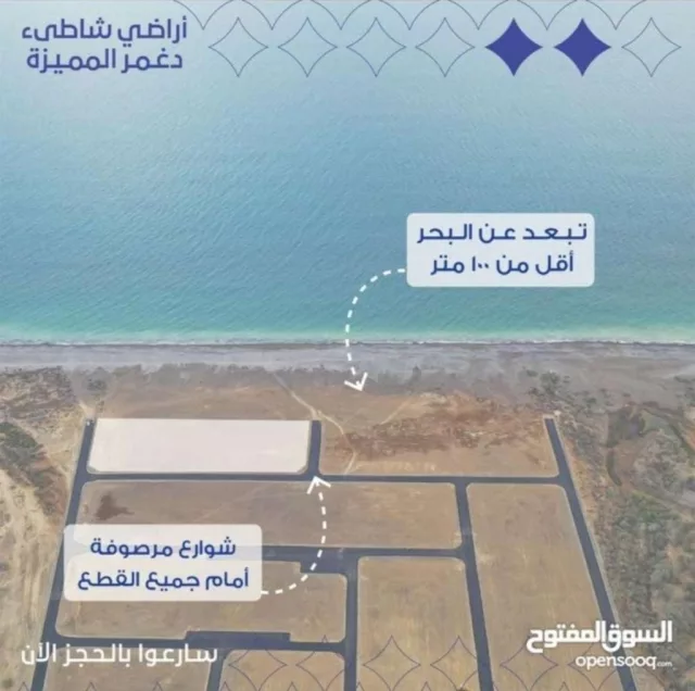 صورة 8