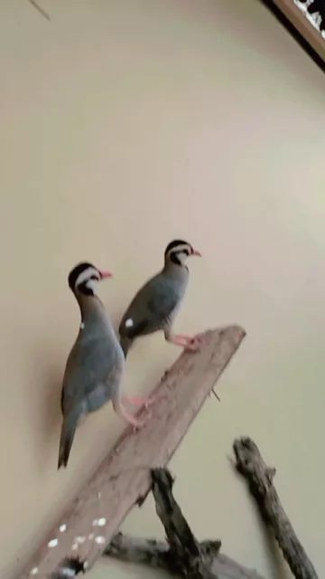 صورة 3