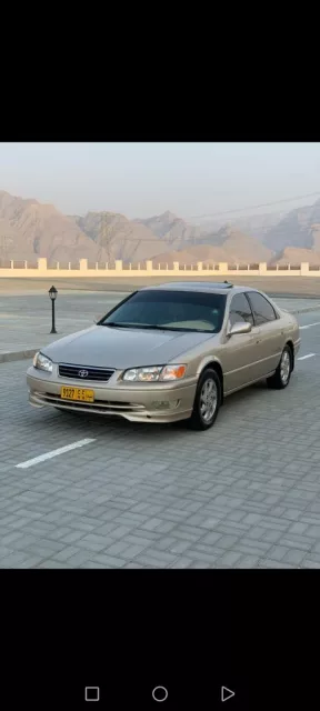 صورة 7