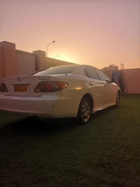 صورة 6